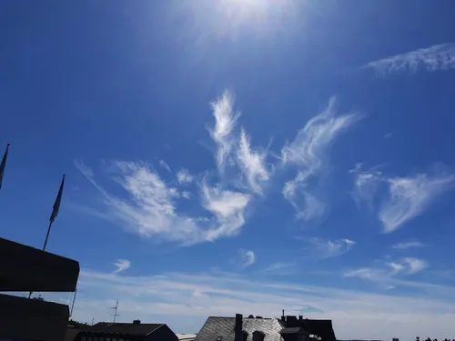 뒤틀린 권운