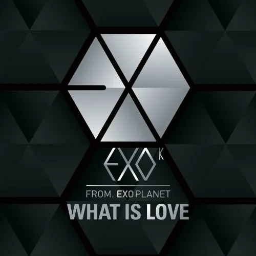 EXO-K WHAT IS LO...
